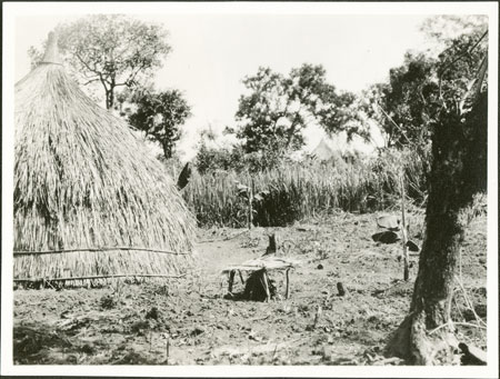 Zande medicine shelter in garden