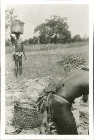 Zande beer preparation 