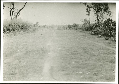 Govt. road in Zandeland