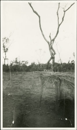 Zande medicine shelter