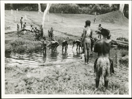 Zande circumcision initiates washing