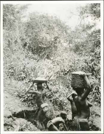 Collecting clay for Zande pots