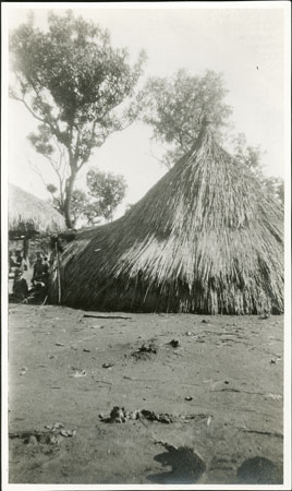 Zande hut