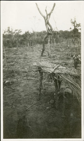 Zande medicine shelter