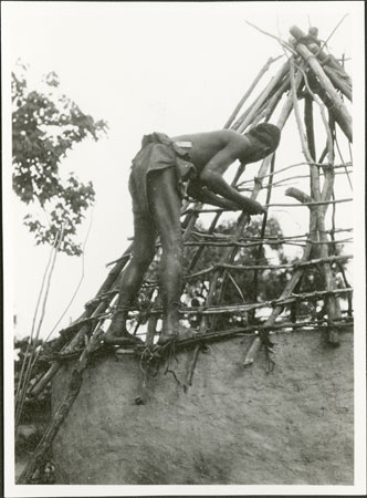 Zande hut construction