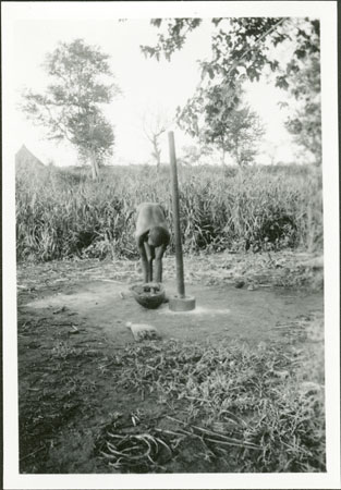 Anuak girl pounding grain