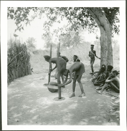 Anuak girls pounding grain