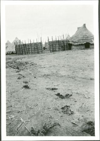 Anuak headman's homestead