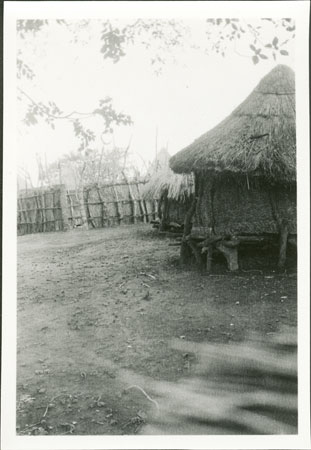 Anuak headman's homestead