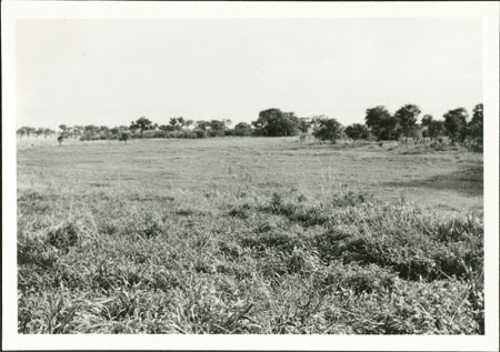 Site of Anuak royal village