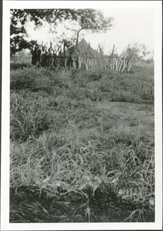 Anuak noble's grave