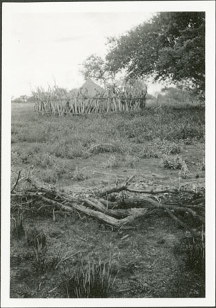 Anuak noble's grave