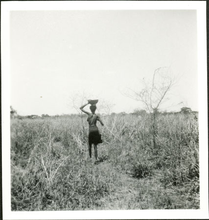 Woman on path to Pocala