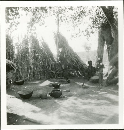 Anuak woman pounding grain