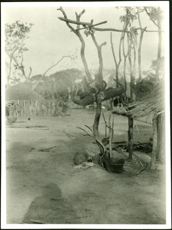 Beli rain-maker's homestead