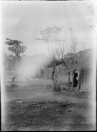 Beli rain-maker's homestead