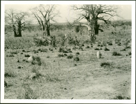 Aka grave near Jebel Sillok