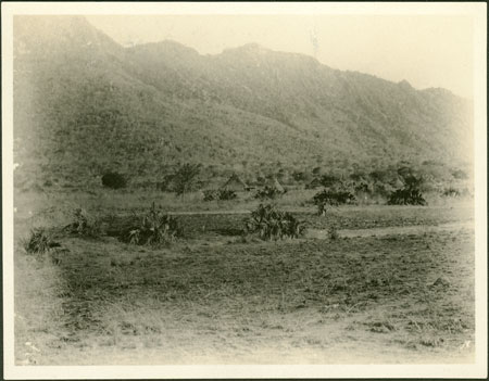 Scenery near Jumjum hills