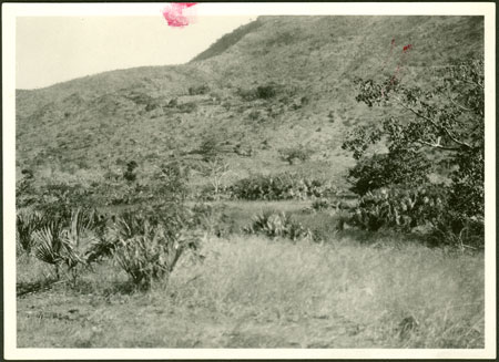 Ingessana terrace agriculture