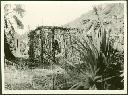 Unfinished Ingessana hut 