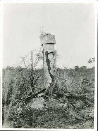 Avokaya grave post