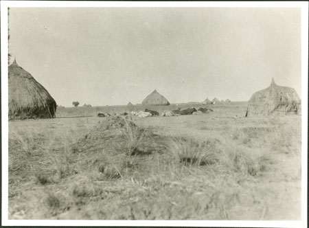 Nuer homestead