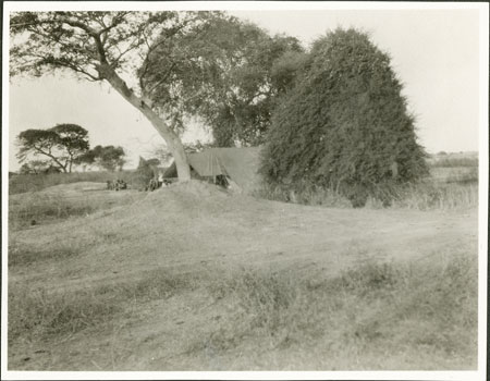 Evans-Pritchard's tent in Nuerland