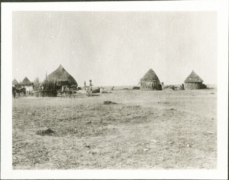 Nuer cattle camp 