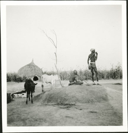 Nuer shrine