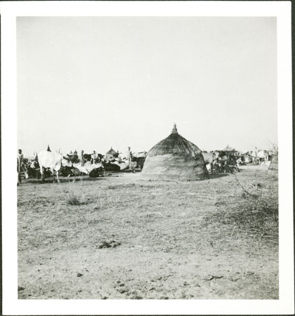 Nuer homestead