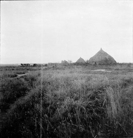 Nuer homestead