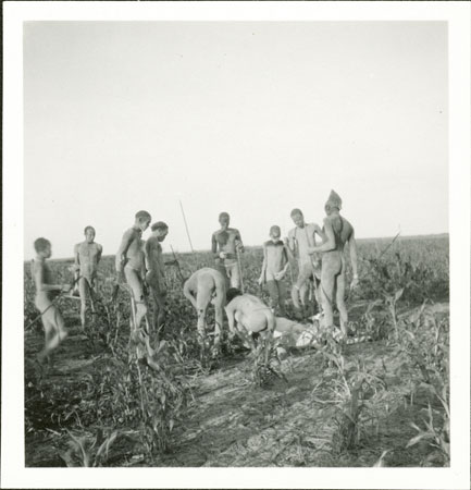 Nuer ox sacrifice