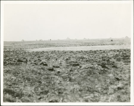 Burnt grasses in Nuerland