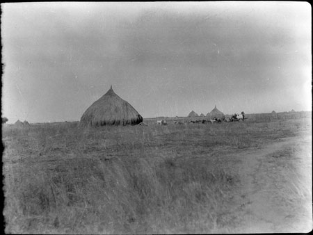 Nuer homestead