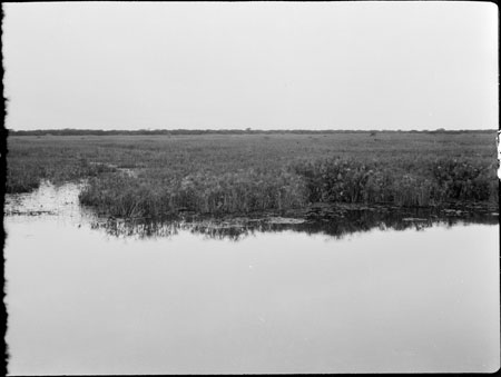 Bahr-el-Ghazal swamp