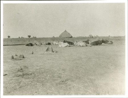 Nuer homestead