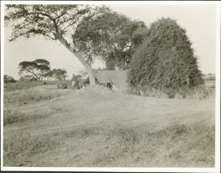 Evans-Pritchard's tent in Nuerland