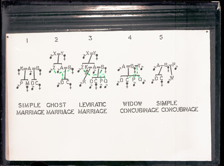 Nuer marriage diagram