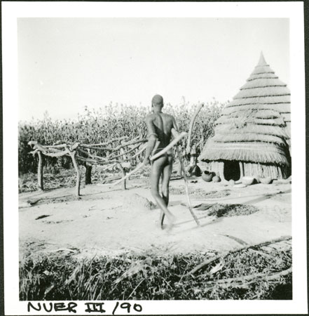 Nuer homestead