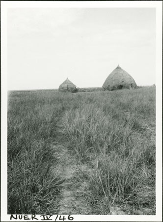 Nuer homestead