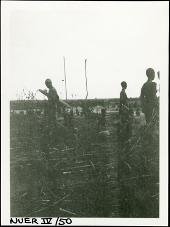 Nuer colwic ceremony