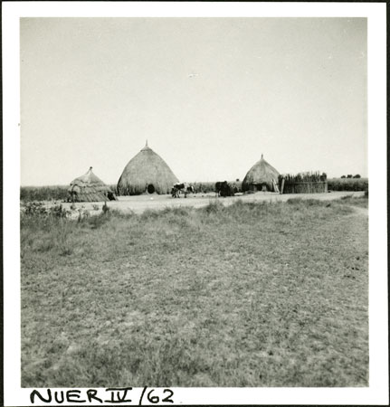 Nuer homestead