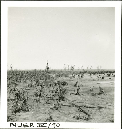 Nuer colwic shrine