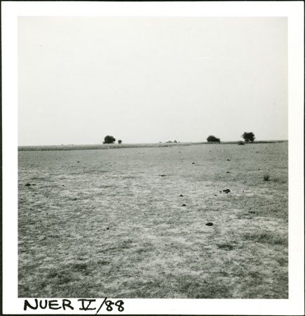 Nuer homestead