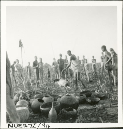 Nuer colwic ceremony