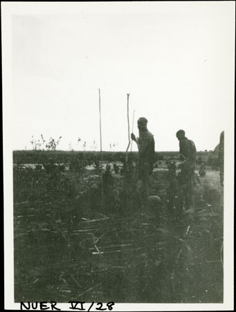 Nuer colwic ceremony