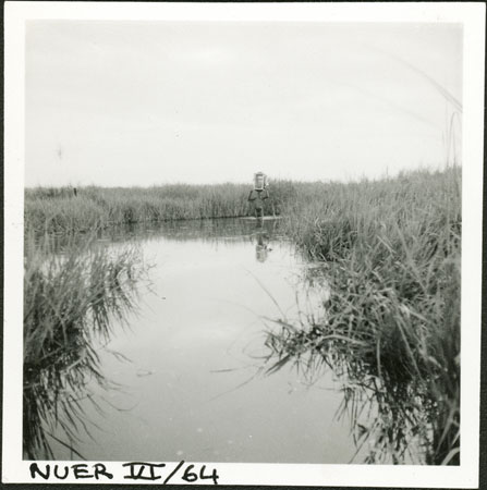 Nuer swamp