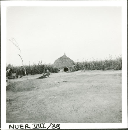 Nuer household shrine