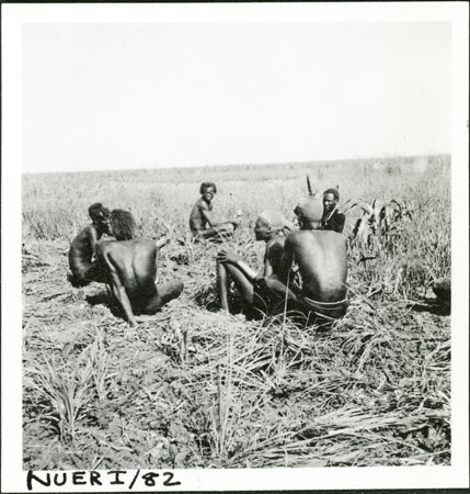 Nuer men preparing garden