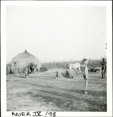 Nuer fertility ceremony 